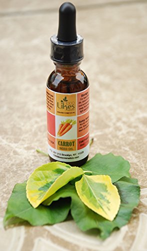 1000 Likes, Oil Carrot Seed, 1 Ounce - BeesActive Australia