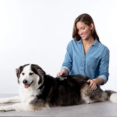 Bissell Dematting Comb for Dogs and Cats, 25371 - BeesActive Australia