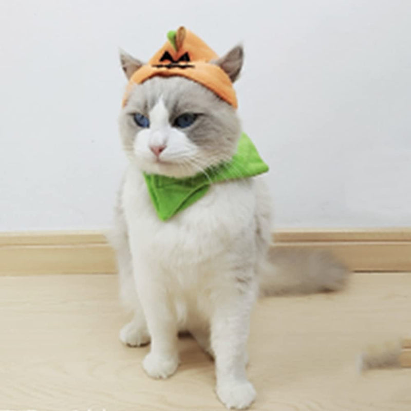 ANIAC Pet Halloween Costume Cat Pumpkin Hat with Scarf Puppy Warm Cap Bunny Head Accessiores and Neckwear for Cats Orange - BeesActive Australia