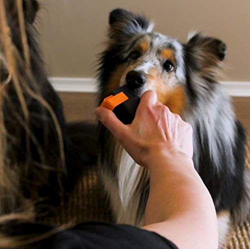 Train'N'Treat Dog Treat Dispenser, Combines a Subtle Clicking Sound with Offering a Treat (Max. diameter 3/4") in a Clean and Safe Way, Easy 1 Hand Operation, Slices Small Hot Dogs etc. into Treats - BeesActive Australia