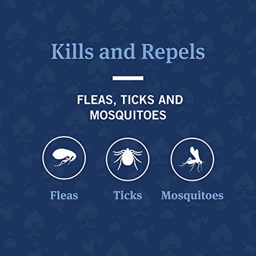 PetArmor Max Flea, Tick and Mosquito Prevention for Large Dogs (21 to 55 Pounds), 6 Monthly Treatments - BeesActive Australia
