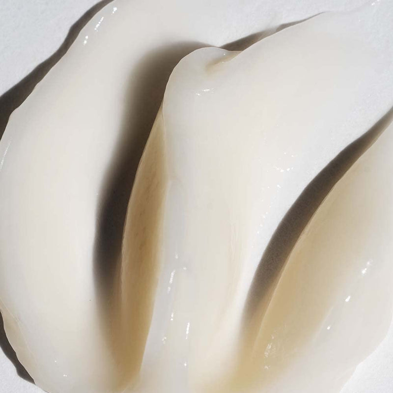 Pureology | Hydrate Soft | Softening Treatment Mask | for Dry Colour-Treated Hair | Vegan | 200ml - BeesActive Australia