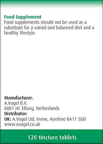 A.Vogel Ginkgo Biloba Tablets | Food Supplement | Extract from Fresh Ginkgo biloba Leaves | Suitable for Vegetarians | 30 Days Supply | 120 Tablets - BeesActive Australia