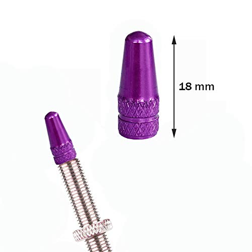 Winorda 40 Pieces 10 Colors Bike Tire Valve Stem Caps Aluminum French Bicycle Air Tire Caps Bike Valve Caps Presta Valve Caps Alloy - BeesActive Australia