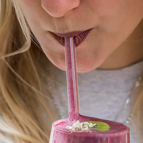 HALM Glass Straws - Sea Life Charity Edition - 6x 8 inch Reusable Drinking Straws with Ocean Animals - Cute Design - Dishwasher Safe - Eco-Friendly - Perfect for Smoothies - Made in Germany - BeesActive Australia
