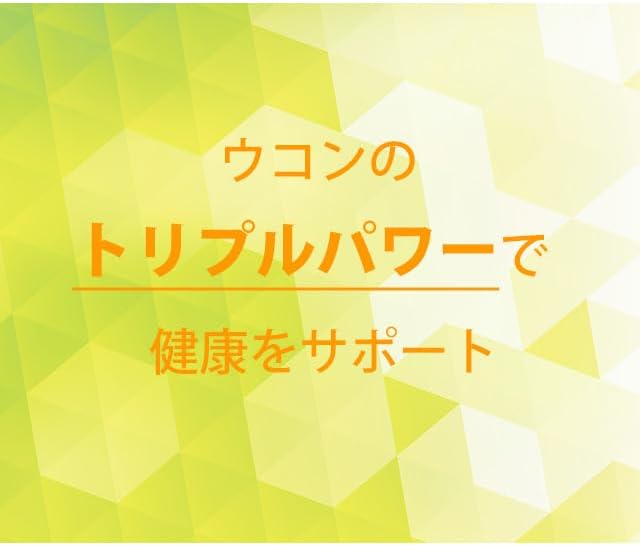 [Ripsa Official] Triple Turmeric Granules Approximately 3 Months Supply T-608 Supplement - BeesActive Australia