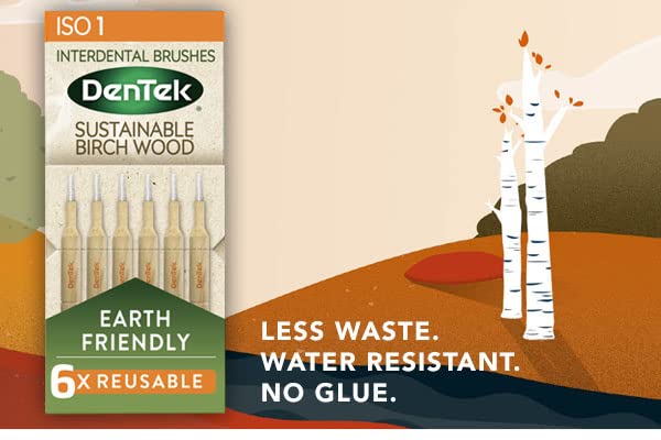 DenTek Earth Friendly Birch Wood - 6 Count x 6 Packs (36 Brushes) Interdental Brushes ISO1/0.45mm - Green - BeesActive Australia