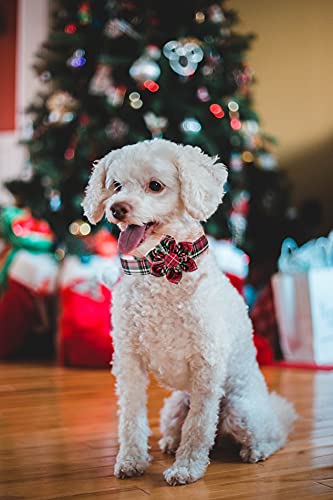 Elegant little tail Flower Girl Dog Collar for Female Dogs, Pet Collar Adjustable Dog Collars with Flower Gift for Small Medium Large Dogs Collar&Flower-S Christmas Plaid - BeesActive Australia