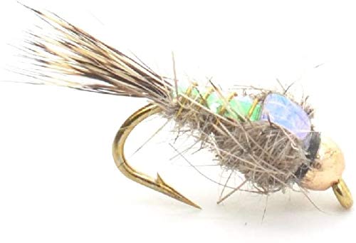 The Fly Fishing Place Bead Head Nymph Fly Fishing Flies - Flashback Gold Ribbed Hare's Ear Trout Fly - Nymph Wet Fly - 6 Flies Hook Size 10 - BeesActive Australia