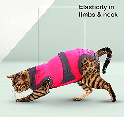 MAXX CAT E Collar Alternative Medical Pet Clothing Recovery Suit for Cats After Surgery Wear Wound Bandage Protection Anti Anxiety Body Wrap XS Red with Grey - BeesActive Australia