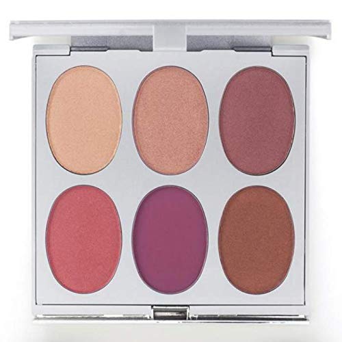 New Again by Jerome Alexander Blusher Palette & Brush, 6 Buildable & Blendable Micronized Powder Blushers for All Skin Tones - BeesActive Australia