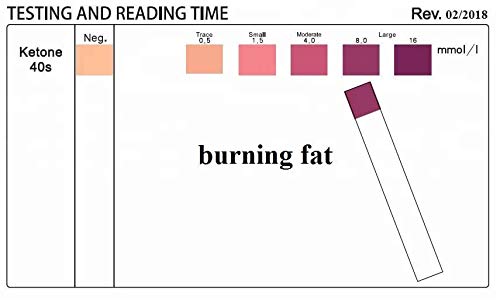 Ketone Keto Urine Test Strips Accurately Measure Your Fat Burning Ketosis Ketones Levels 100 Strips - BeesActive Australia