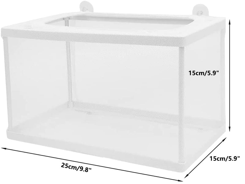 Trinidad Aquarium Fish Breeding Box,Fish Hatchery Isolation Box Large Fish Net Breeder Breeding Container Fish Nursery for Aquarium with Suction Cup Fishing Nets for Tropical Guppy Fish Floating Fish - BeesActive Australia