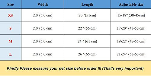 Benala 2" Black Leather Dog Collars Cool Spiked Studded Pet Dog Collar for Medium Large Dogs Pitbulls Mastiff Bully - BeesActive Australia