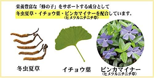 Contains 60 capsules (240 mg of enzyme decomposed bees in 1) + Winterbug Summer Grass, Ginkgo leaves, and vinkaminers - BeesActive Australia