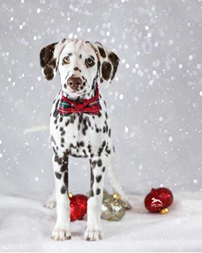 Unique style paws Dog Collar with Bow Tie & Flower Tie Girls Boys Summer Dog Collar for Small Medium Large Dogs with Adjustable Safety Metal Buckle for Summer Holiday Large (Pack of 1) RedPlaid - BeesActive Australia