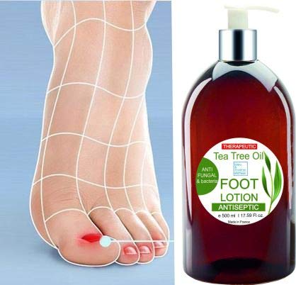 Antifungal Cream Nail fungal Treatment Foot Cream Ultra Moisturizing with Tea Tree Oil Anti Fungus Deodorant Feet 500 ml - BeesActive Australia