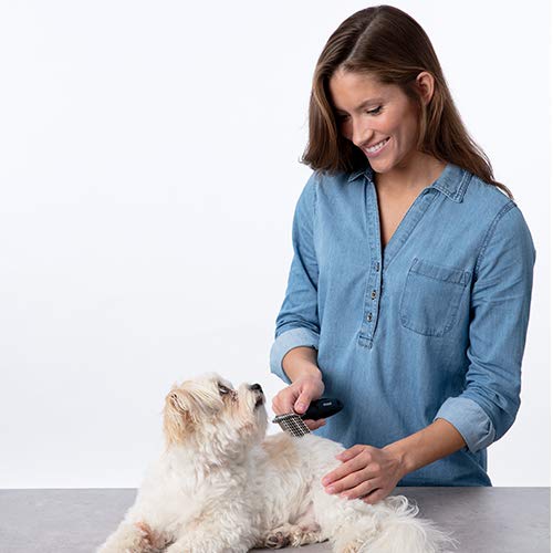Bissell Dematting Comb for Dogs and Cats, 25371 - BeesActive Australia