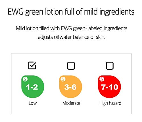 BOM Eight Tea Lotion Natural Face Moisturizer Tea Extract Complex Daily Face Lotion for Sensitive Skin 120mL / 4.05 fl.oz - BeesActive Australia
