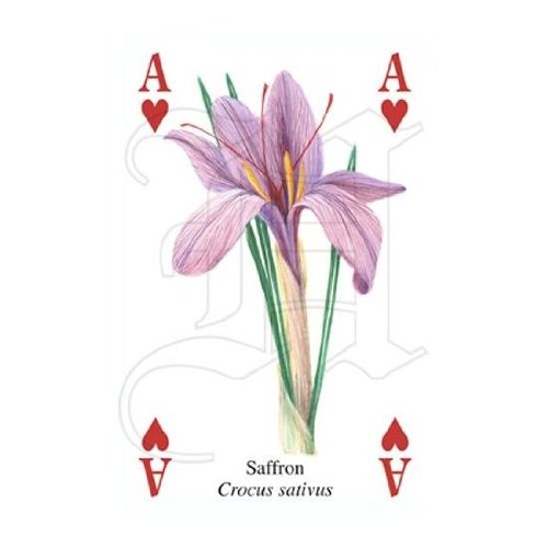 [AUSTRALIA] - The Famous Herbs Playing Cards 
