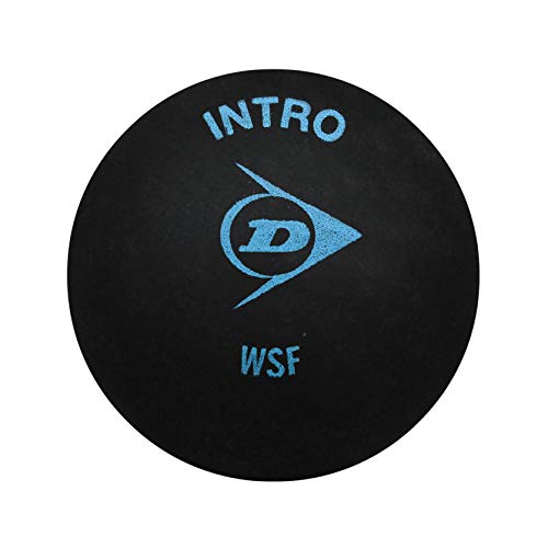 [AUSTRALIA] - DUNLOP Intro Squash Ball 1 Dozen One Size 