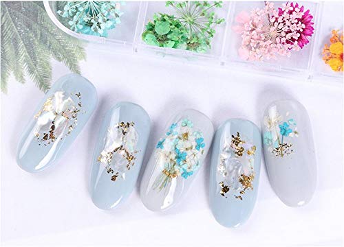 XICHEN 78PCS/2 Boxes Dried Flowers for Nail Art - 3D Dry Flowers Nail Art Stickers Decoration Natural Nail Supplies (Sun Flower/Gypsophila/Valerian Flower/Green Leaf) - BeesActive Australia