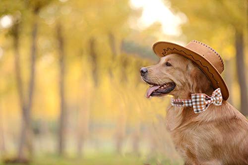 Elegant little tail Dog Collar with Bow, Comfotable Dog Bowtie, Bowtie Dog Collar Adjustable Dog Collars for Small Medium Large Dogs and Cats Small (Pack of 1) A: Yellow Plaid - BeesActive Australia
