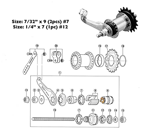 CYCLEZ Rear Coaster Brake Hub Bearings 7/32" x 9 (2X) and 1/4" x 7 (1x) for Bicycle Wheels, Kids Bikes, Lowrider Bikes, Beach Cruiser, Chopper, Stretch Bicycles, Complete Set - BeesActive Australia