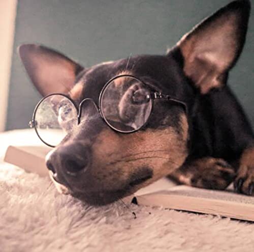 YAODHAOD Pet Sunglasses Classic Retro Circular Metal Prince Sunglasses Funny Cute Puppy Cat Teacher Bachelor Cosplay Glasses Pet Photos Props for Small Dog Cat Transparent - BeesActive Australia