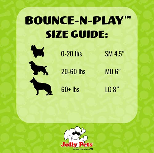 Jolly Pets Bounce-n-Play Dog Toy Ball Medium (6 in) Blueberry - BeesActive Australia