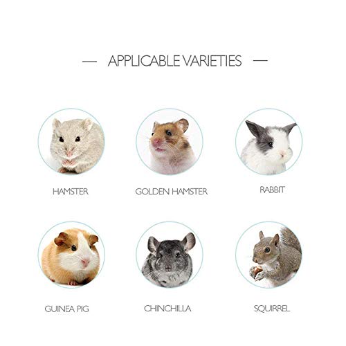 gutongyuan Small Animals Bowl, Detachable Cage Feeder Pet Ceramic Water & Food Feeder, Small Animal Supplies for Rabbit Parrot Squirrels Chinchilla Hamster Ferret White S - BeesActive Australia