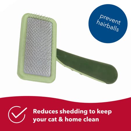 Coastal Pet Safari - Cat Soft Slicker Brush (6.5 x 3.5 Inches) - BeesActive Australia