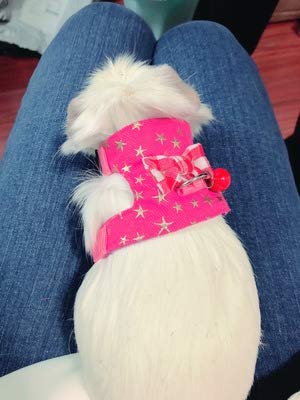 Wontee Small Pet Harness Vest and Leash Set with Bowknot and Bell Decor for Gerbil Guinea Pig Squirrel Kitten Outdoor Walking S Pink Star - BeesActive Australia