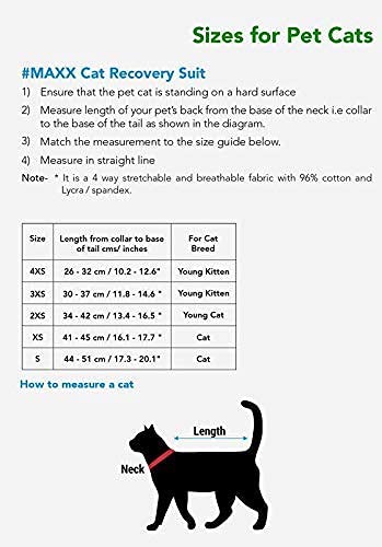 MAXX CAT E Collar Alternative Medical Pet Clothing Recovery Suit for Cats After Surgery Wear Wound Bandage Protection Anti Anxiety Body Wrap XS Red with Grey - BeesActive Australia