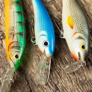 Alomejor Fishing Lure Eyes 3D Sticky Holographic Fishing Lure Eyes Realistic DIY Making Fly Tying Materials Jigs Crafts Lures Baits Silver 8mm - BeesActive Australia