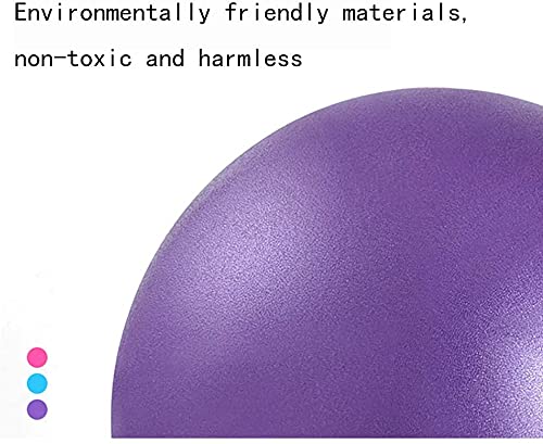 6 Inch Exercise Pilates Mini Yoga Balls Barre Small Bender for Home Stability Squishy Training Physical Therapy Improves Balance with Pump Blue 6 Inch - BeesActive Australia