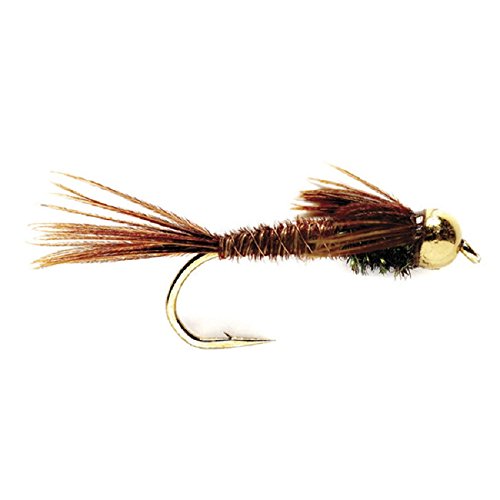 The Fly Fishing Place Bead Head Pheasant Tail Nymph Fly Fishing Flies - Trout and Bass Wet Fly Pattern - 6 Flies Hook Size 10 - BeesActive Australia