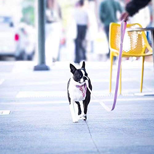 ARING PET Dog Collar and Leash, Velvet Dog Collar and Leash Set, Soft & Comfy, Adjustable Collars for Dogs Medium Pink - BeesActive Australia