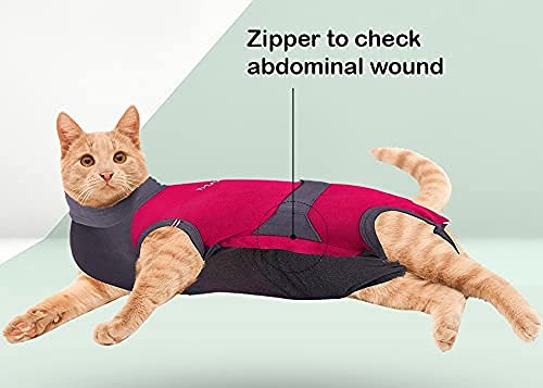 MAXX CAT E Collar Alternative Medical Pet Clothing Recovery Suit for Cats After Surgery Wear Wound Bandage Protection Anti Anxiety Body Wrap XS Red with Grey - BeesActive Australia