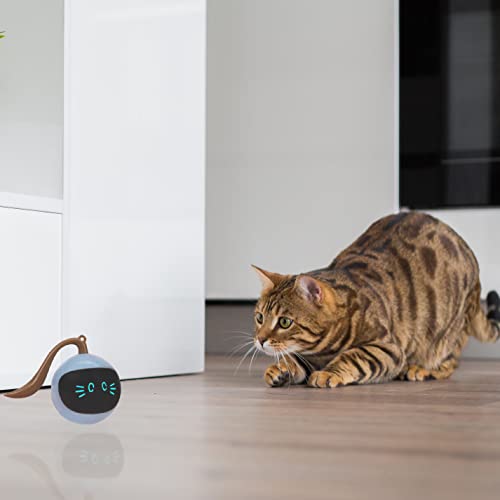SIMENA Interactive Cat Ball Toy, Automatic Rolling Ball for Indoor Cats, Pet Exercise Toy, Smart Electric Teaser Toy, USB Rechargeable Wicked Ball, Pet Gift for Cats - BeesActive Australia