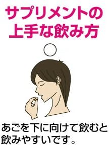 eclectic St. John's Wort Eco Pack 300 mg x 45 capsules ec121 - BeesActive Australia