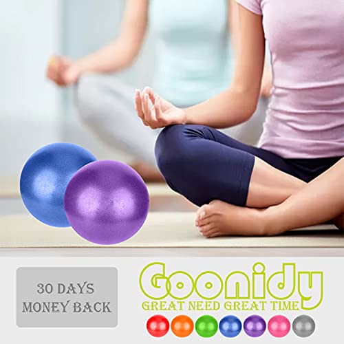 Small Pilates Ball, Therapy Ball, Mini Workout Ball, Core Ball, 9 Inch Small Exercise Ball, Mini Bender Ball, Pilates, Yoga, Workout, Bender, Core Training and Physical Therapy, Improves Balance 1Purple Ball - BeesActive Australia