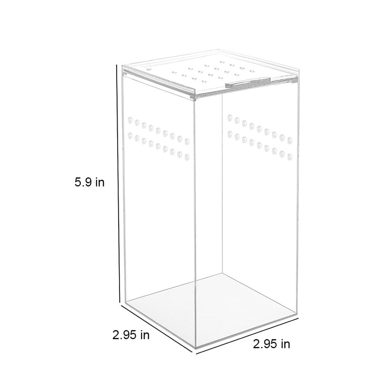 NANEEZOO Magnetic Acrylic Case, 2.9x2.9x6 Inch Nano Arboreal Tarantula Enclosure Reptile Habitat Terrarium Breeding Box for Spider Scorpion Sling Isopods Lizards Invertebrates Insect Mantis - BeesActive Australia