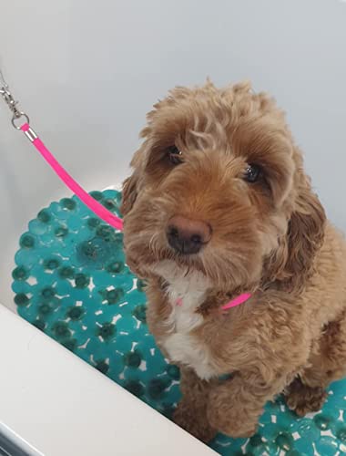 Pet Dog Grooming Loop, Nylon Restraint Noose Adjustable Fixed Dog Cat Safety Tether Straps Dog Grooming Supplies for Pet Grooming Table Bathtub green+orange 6 PACK - BeesActive Australia