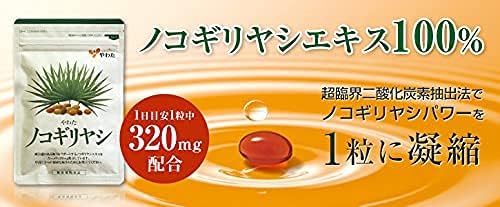 Soft Saw Palm (15 Day Supply 15 Capsules) Set of 4 - BeesActive Australia