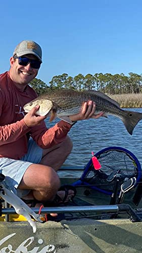 Fairhope Rattle Popping Cork Float for Redfish Handmade in Alabama Durable and High Visibility Freshwater and Saltwater Bobbers Speckled Trout, Sheepshead, Flounder - BeesActive Australia