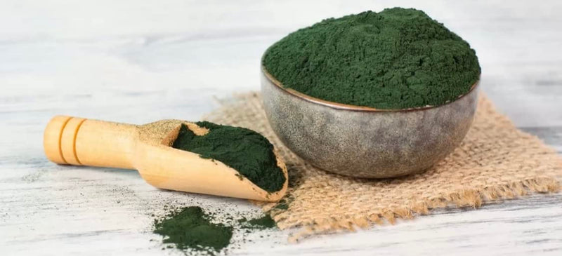 Organic Irish Sea Moss Capsules | 60 Vegan Capsules | GMO Free | Gordon Watkins Exclusive Botanical Blend (Spirulina) Spirulina - BeesActive Australia