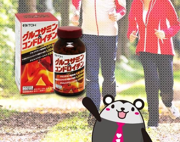 Fish Wicker Chinese Medicine Pharmaceutical Glucosamine & kondoroitin about 30 Days Minutes 300mgx360 Grain - BeesActive Australia