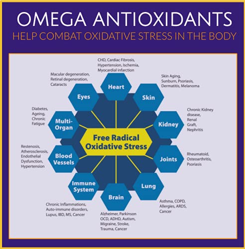 Co Enzyme Q10 100mg | COR-Shield 100 | High Absorption | Heart| Headache| Energy 100% Natural Coenzyme Q-10 | Enhanced B1| No Silicon | UK Made 90 Caps - BeesActive Australia