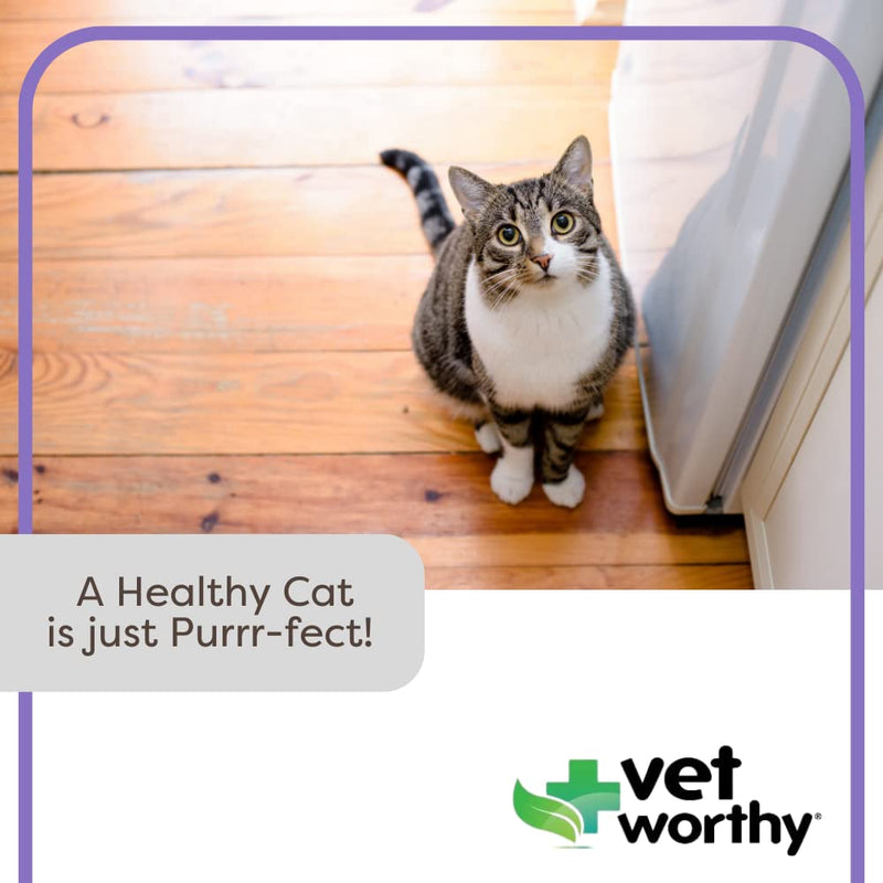 Vet Worthy Urinary Paw Gel for Cats - Cat Supplement to Support Healthy Urinary Tract and Bladder Health - Feline Supplement with Cranberry Extract, L-Lysine and Vitamin C - Salmon Flavor, 3oz - BeesActive Australia
